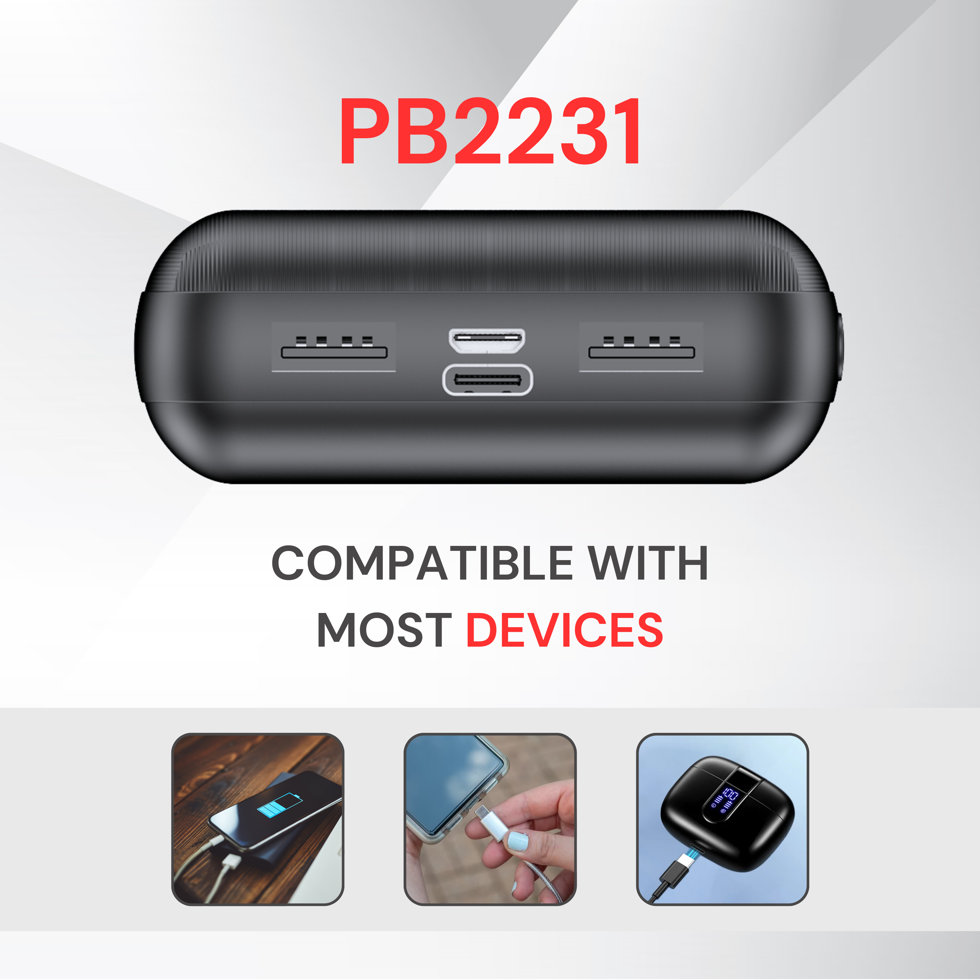 PB2231 Compatible Charger