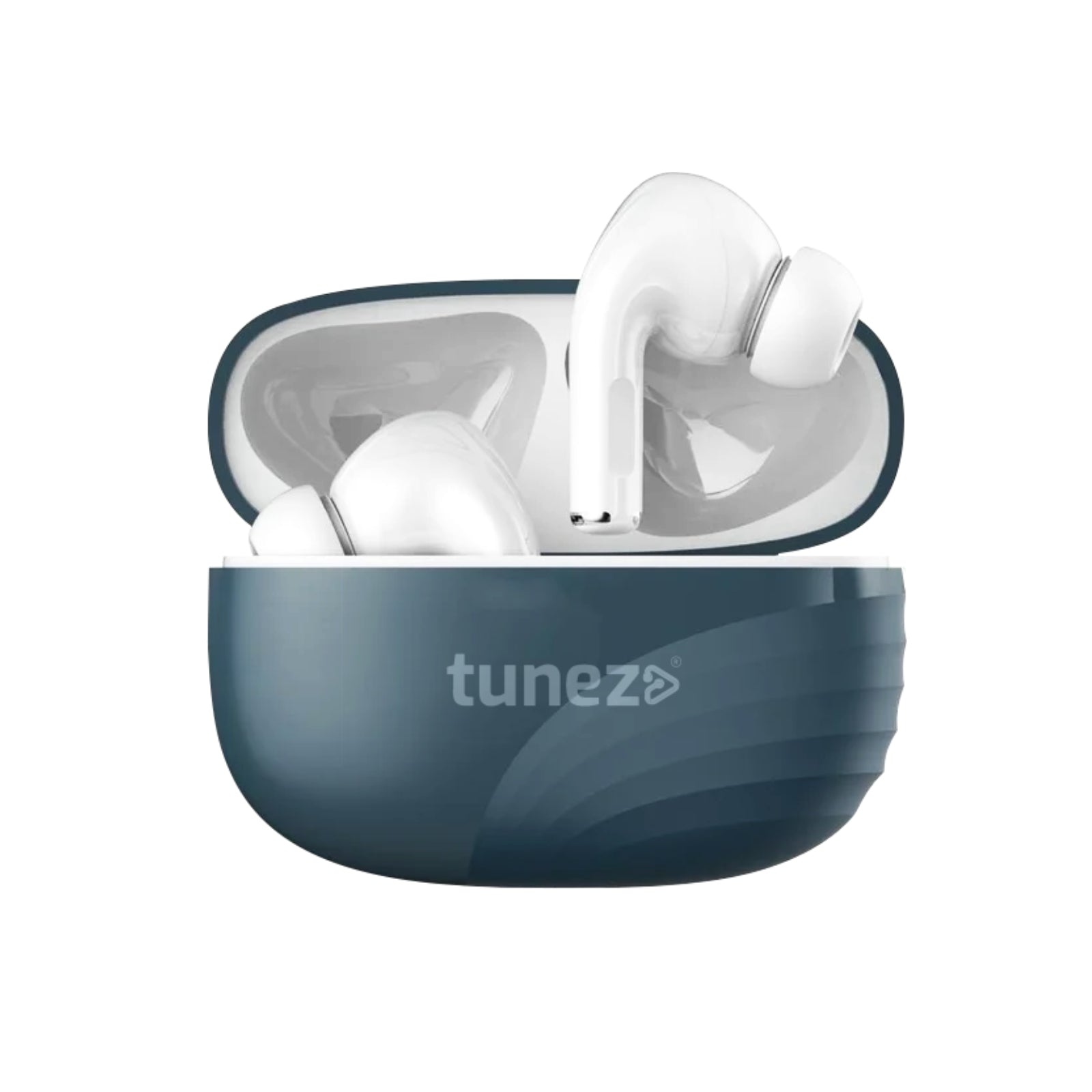 Blue True Wireless Earbuds