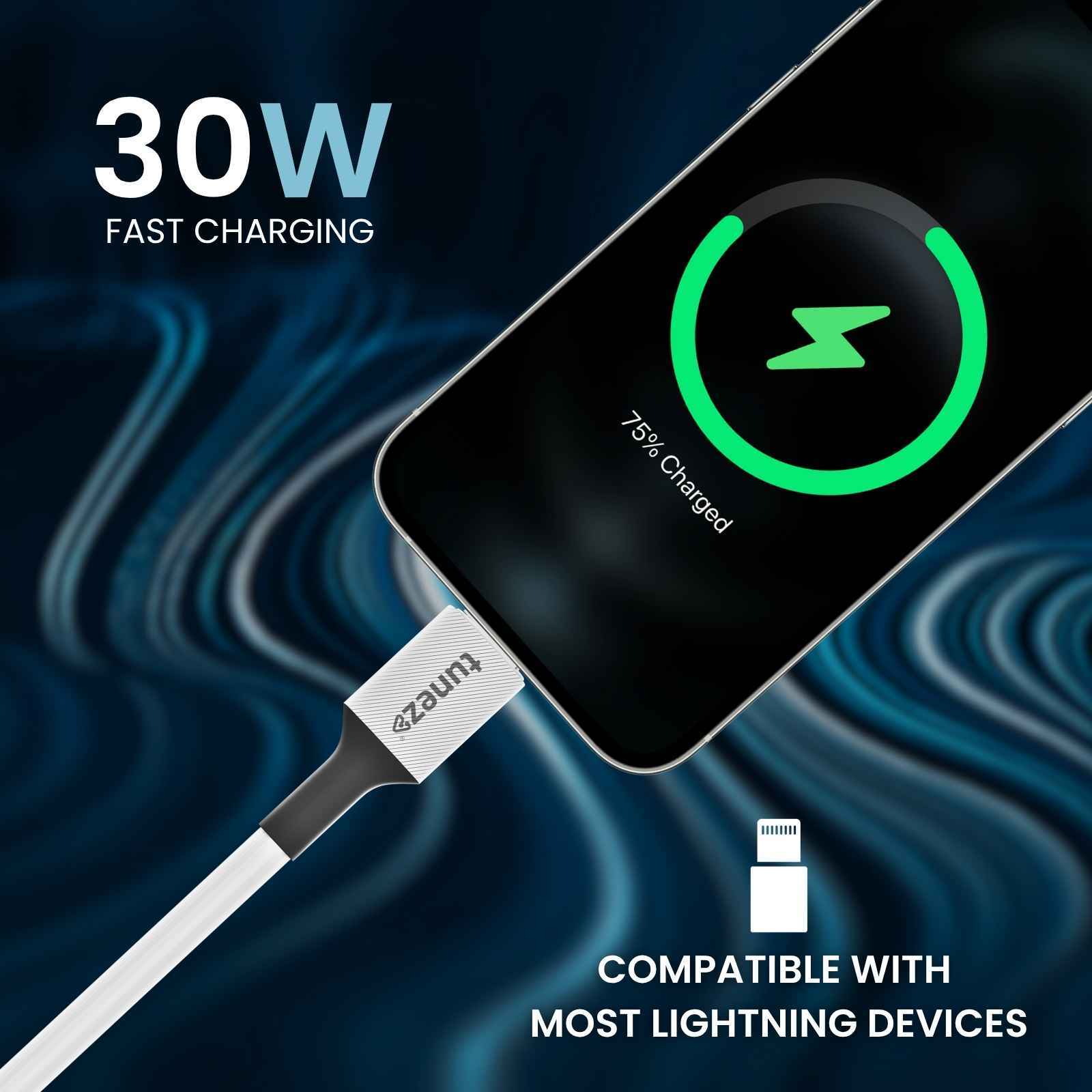30W Fast Charging Data Cable