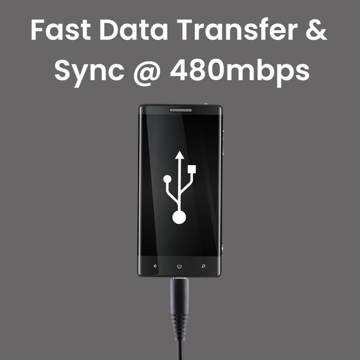 Tunez C-20 Fast Charging Type C  3.1A Data Cable - tunez